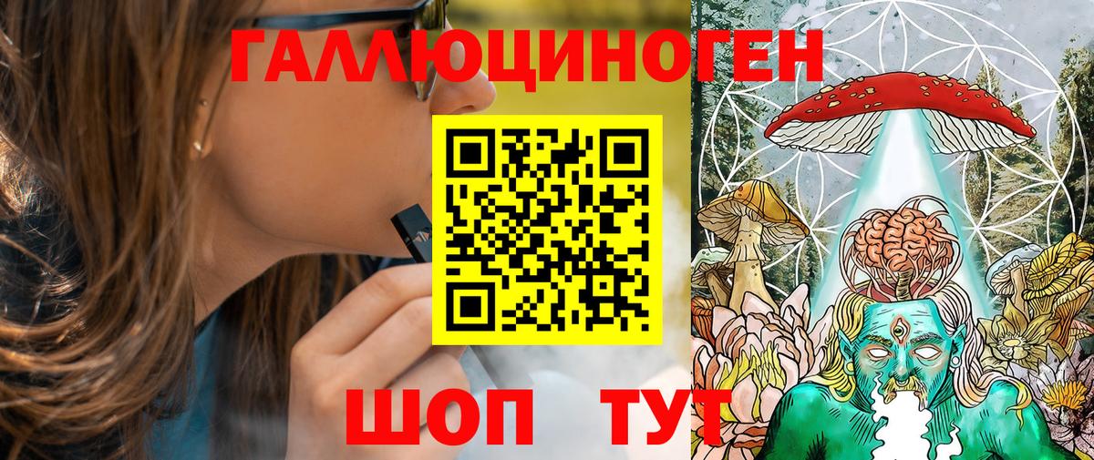 Псилоцибиновые грибы Psilocybe Кисловодск